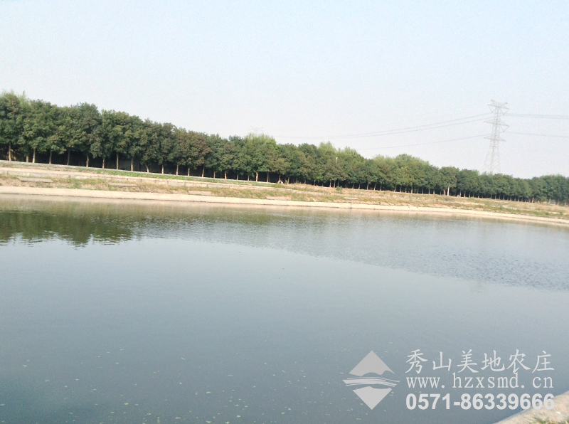 圖1:農(nóng)莊生態(tài)甲魚飼養(yǎng)區(qū) 圖1:農(nóng)莊生態(tài)甲魚飼養(yǎng)區(qū)