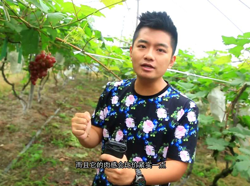 圖6:杭州電視臺生活頻道&錢江晚報《尋味》欄目組來到秀山美地農(nóng)莊 圖6:杭州電視臺生活頻道&錢江晚報《尋味》欄目組來到秀山美地農(nóng)莊